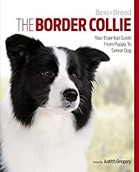 Border Collie book