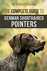 German Shorthaired Pointer