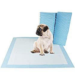 How to potty train a puppy to use a pee pad