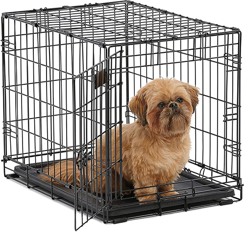 brown shih tzu puppy inside of its crate