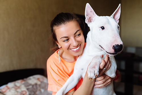 woman cuddling with white bull terrier