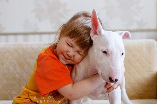 adorable little girl squeezing her white bull terrier with love