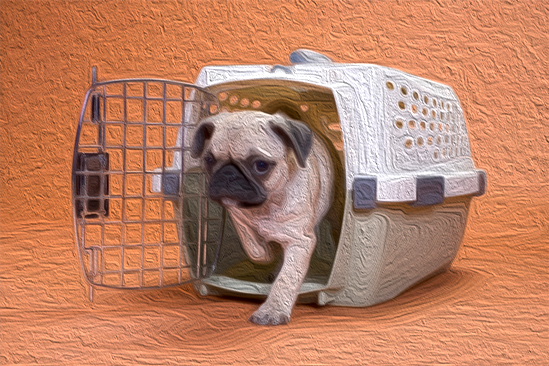 crate training dogs - image of dog coming out of its crate