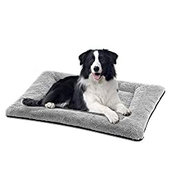 dog crate bed for your canine