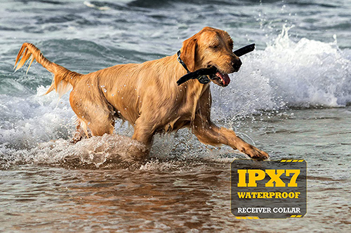 PATPET Shock Collar for Medium Large Dog(15-150lbs) - 3/4 Mile Range E Collar, Dog Training Collar with Remote 