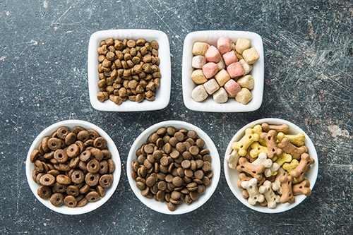 five bowls filled with different dry dog food choices on a table