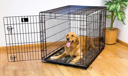 house training dogs using crates