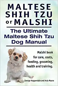 Maltese Shih Tzu price