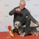 dog receiving top prize