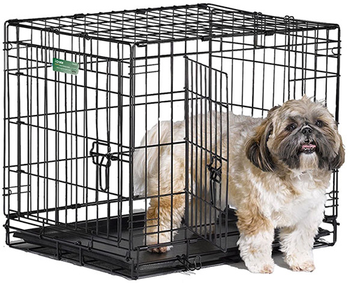 Shih Tzu puppy needs checklist