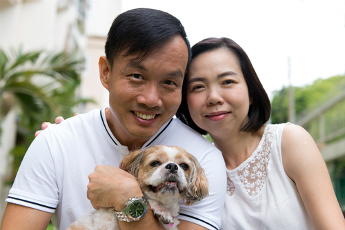 shih tzu dogs are cuddlier